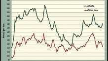 MonthGraph_ph