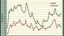 MonthGraph_ph