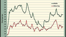 MonthGraph_ph