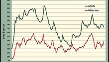 MonthGraph_ph