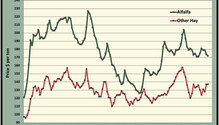 MonthGraph_ph