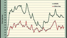MonthGraph_ph