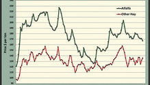 MonthGraph_ph