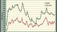 MonthGraph_ph