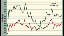 MonthGraph_ph