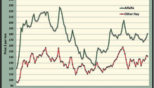 MonthGraph_ph