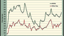 MonthGraph_ph