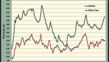 MonthGraph_ph