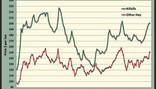 MonthGraph_ph