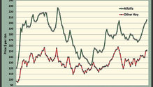 MonthGraph_ph