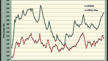 MonthGraph_ph
