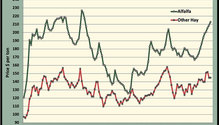 MonthGraph_ph