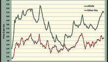 MonthGraph_ph