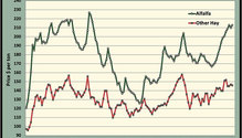 MonthGraph_ph
