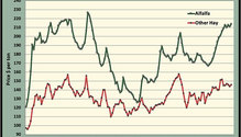 MonthGraph_ph
