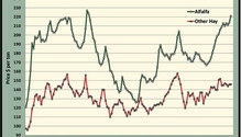 MonthGraph_ph