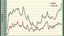 MonthGraph_ph