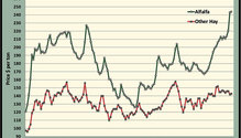 MonthGraph_ph