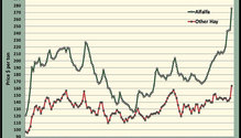 MonthGraph_ph