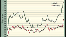 MonthGraph_ph