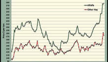 MonthGraph_ph
