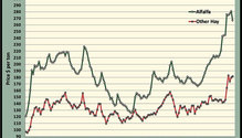 MonthGraph_ph
