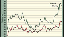 MonthGraph_ph