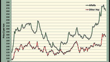 MonthGraph_ph
