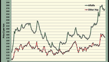 MonthGraph_ph