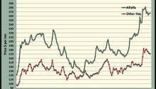 MonthGraph_ph