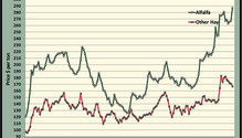 MonthGraph_ph