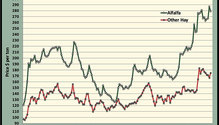 MonthGraph_ph
