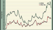 MonthGraph_ph