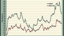 MonthGraph_ph
