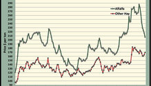 MonthGraph_ph