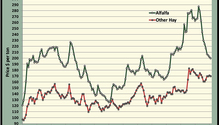 MonthGraph_ph