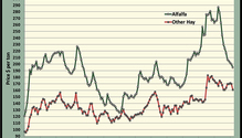 MonthGraph_ph