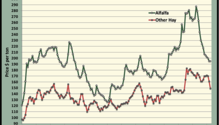 MonthGraph_ph