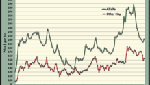 MonthGraph_ph