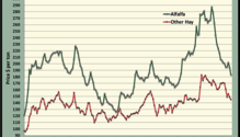 MonthGraph_ph