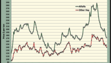 MonthGraph_ph