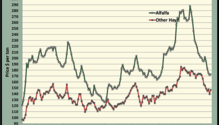 MonthGraph_ph