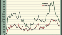 MonthGraph_ph