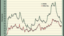 MonthGraph_ph