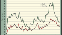 MonthGraph_ph