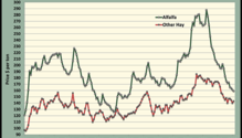 MonthGraph_ph