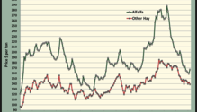 MonthGraph_ph