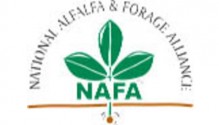 NAFA