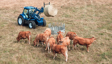 NH-methane-power