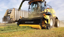 NH_Hay